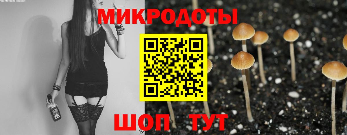 Галлюциногенные грибы GOLDEN TEACHER  Вход с VPN  Кемерово 